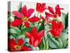 Shakespeare Tulips-Christopher Ryland-Stretched Canvas