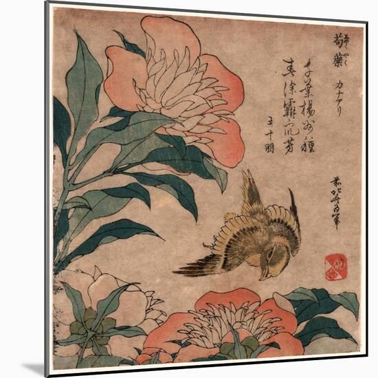 Shakuyaku Kana Ari, Peony and Canary. [1833 or 1834], 1 Print : Woodcut, Color ; 19.2 X 17.4-Katsushika Hokusai-Mounted Giclee Print