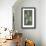 Shaky Balance-Paul Klee-Framed Art Print displayed on a wall