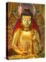 Shakyamuni Buddha Statue in Main Hall, Po Lin Monastery, Tung Chung, Hong Kong, China, Asia-null-Stretched Canvas