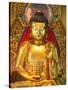 Shakyamuni Buddha Statue in Main Hall, Po Lin Monastery, Tung Chung, Hong Kong, China, Asia-null-Stretched Canvas