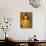 Shakyamuni Buddha Statue in Main Hall, Po Lin Monastery, Tung Chung, Hong Kong, China, Asia-null-Mounted Photographic Print displayed on a wall