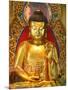 Shakyamuni Buddha Statue in Main Hall, Po Lin Monastery, Tung Chung, Hong Kong, China, Asia-null-Mounted Photographic Print