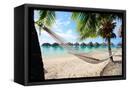 Canvas Black