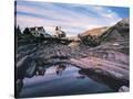 Stretched Canvas