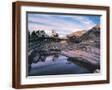 Brown Frame