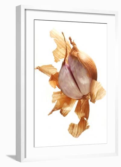 Shallot-null-Framed Photographic Print