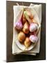 Shallots and Garlic on Plate-Foodcollection-Mounted Photographic Print