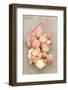 Shallots on Wooden Background-Eising Studio - Food Photo and Video-Framed Photographic Print