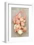 Shallots on Wooden Background-Eising Studio - Food Photo and Video-Framed Photographic Print