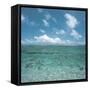 Shallow Area of the Ocean-null-Framed Stretched Canvas