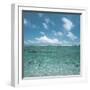 Shallow Area of the Ocean-null-Framed Photographic Print