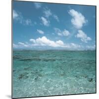 Shallow Area of the Ocean-null-Mounted Photographic Print