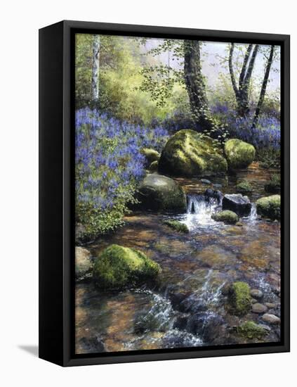 Shallow Brook-Bill Makinson-Framed Stretched Canvas