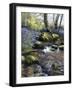 Shallow Brook-Bill Makinson-Framed Giclee Print