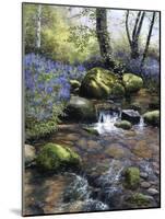 Shallow Brook-Bill Makinson-Mounted Giclee Print