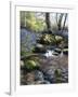 Shallow Brook-Bill Makinson-Framed Giclee Print