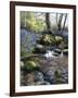 Shallow Brook-Bill Makinson-Framed Giclee Print