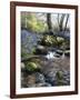 Shallow Brook-Bill Makinson-Framed Giclee Print