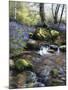 Shallow Brook-Bill Makinson-Mounted Giclee Print