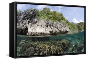 Shallow Coral Reef, Raja Ampat, West Papua, Indonesia-Reinhard Dirscherl-Framed Stretched Canvas