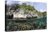 Shallow Coral Reef, Raja Ampat, West Papua, Indonesia-Reinhard Dirscherl-Stretched Canvas