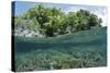 Shallow Coral Reef, Raja Ampat, West Papua, Indonesia-Reinhard Dirscherl-Stretched Canvas