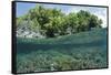 Shallow Coral Reef, Raja Ampat, West Papua, Indonesia-Reinhard Dirscherl-Framed Stretched Canvas