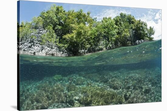 Shallow Coral Reef, Raja Ampat, West Papua, Indonesia-Reinhard Dirscherl-Stretched Canvas