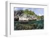 Shallow Coral Reef, Raja Ampat, West Papua, Indonesia-Reinhard Dirscherl-Framed Photographic Print