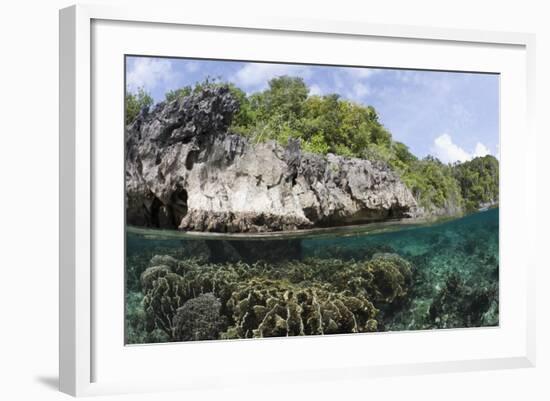 Shallow Coral Reef, Raja Ampat, West Papua, Indonesia-Reinhard Dirscherl-Framed Photographic Print