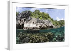 Shallow Coral Reef, Raja Ampat, West Papua, Indonesia-Reinhard Dirscherl-Framed Photographic Print