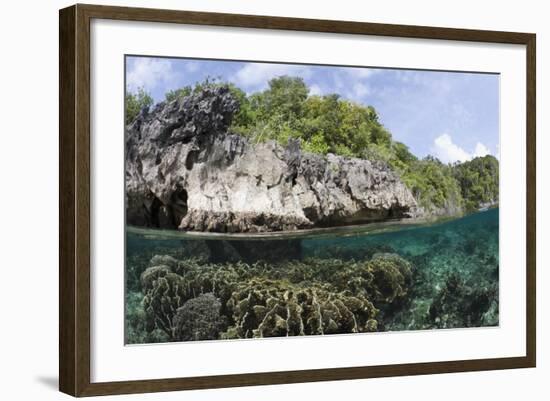 Shallow Coral Reef, Raja Ampat, West Papua, Indonesia-Reinhard Dirscherl-Framed Photographic Print