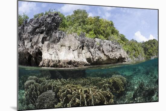 Shallow Coral Reef, Raja Ampat, West Papua, Indonesia-Reinhard Dirscherl-Mounted Photographic Print