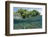 Shallow Coral Reef, Raja Ampat, West Papua, Indonesia-Reinhard Dirscherl-Framed Photographic Print