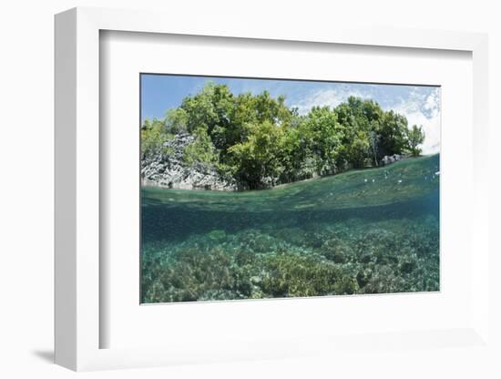 Shallow Coral Reef, Raja Ampat, West Papua, Indonesia-Reinhard Dirscherl-Framed Photographic Print