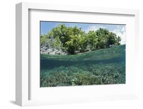 Shallow Coral Reef, Raja Ampat, West Papua, Indonesia-Reinhard Dirscherl-Framed Photographic Print