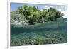 Shallow Coral Reef, Raja Ampat, West Papua, Indonesia-Reinhard Dirscherl-Framed Photographic Print