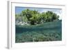 Shallow Coral Reef, Raja Ampat, West Papua, Indonesia-Reinhard Dirscherl-Framed Photographic Print