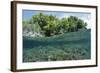 Shallow Coral Reef, Raja Ampat, West Papua, Indonesia-Reinhard Dirscherl-Framed Photographic Print