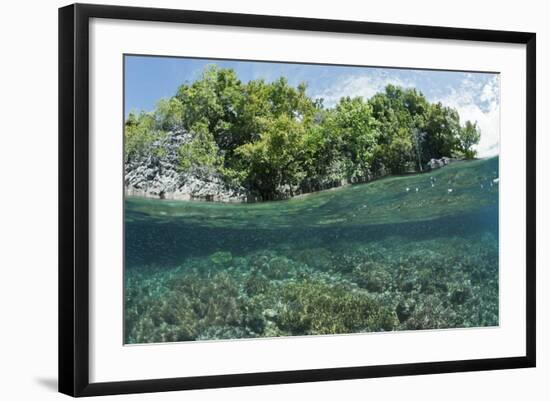 Shallow Coral Reef, Raja Ampat, West Papua, Indonesia-Reinhard Dirscherl-Framed Photographic Print