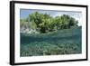 Shallow Coral Reef, Raja Ampat, West Papua, Indonesia-Reinhard Dirscherl-Framed Photographic Print