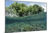 Shallow Coral Reef, Raja Ampat, West Papua, Indonesia-Reinhard Dirscherl-Mounted Photographic Print