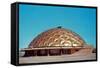 Shallow Geodesic Dome Structure-null-Framed Stretched Canvas