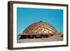 Shallow Geodesic Dome Structure-null-Framed Art Print