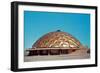 Shallow Geodesic Dome Structure-null-Framed Art Print