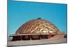 Shallow Geodesic Dome Structure-null-Mounted Art Print
