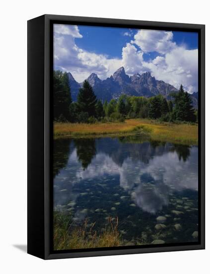 Shallow Pond Near Teton Range-James Randklev-Framed Stretched Canvas