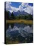 Shallow Pond Near Teton Range-James Randklev-Stretched Canvas