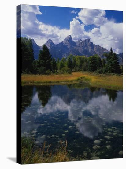 Shallow Pond Near Teton Range-James Randklev-Stretched Canvas